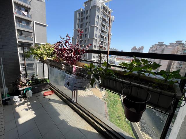 桃園區大樓-2