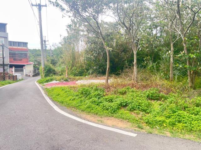 桃園龍潭農地-2