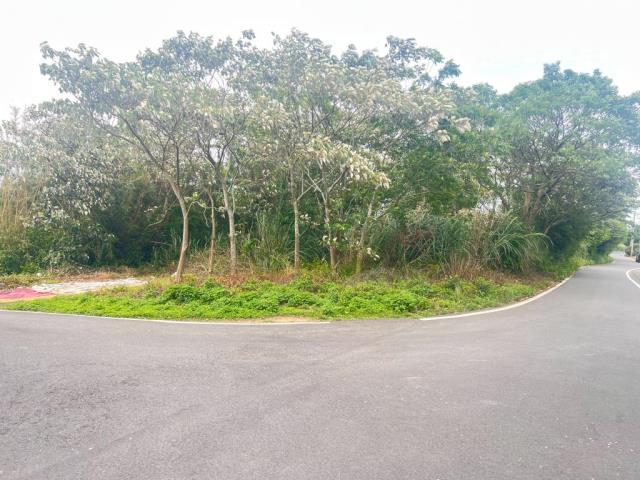 桃園龍潭農地-3