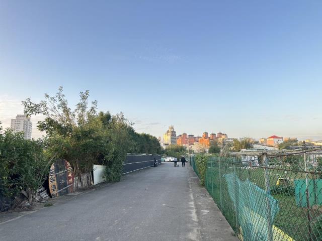 中壢農地-0