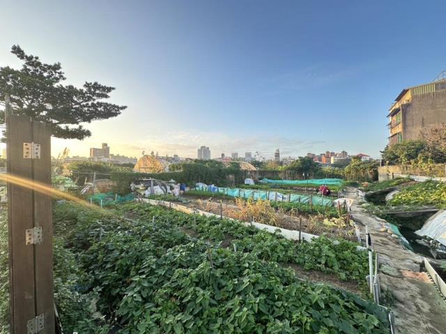 中壢農地-1
