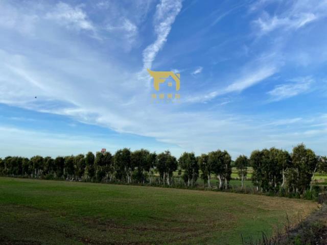 桃園楊梅農地-5