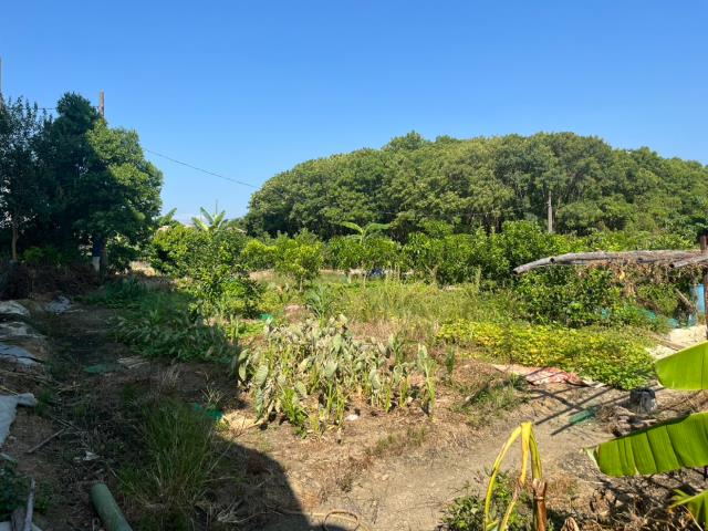 八德農地-0