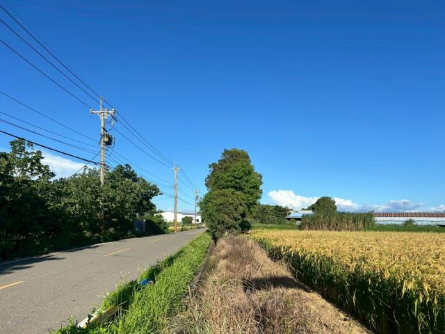 新屋農地-6