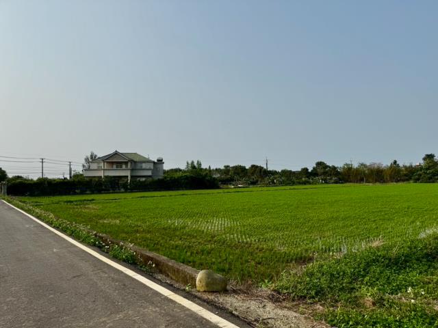 桃園農地-2