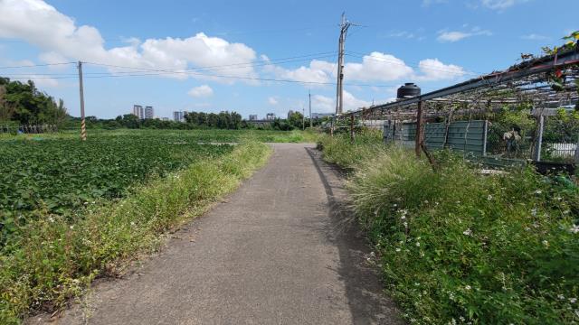 桃園農地-6