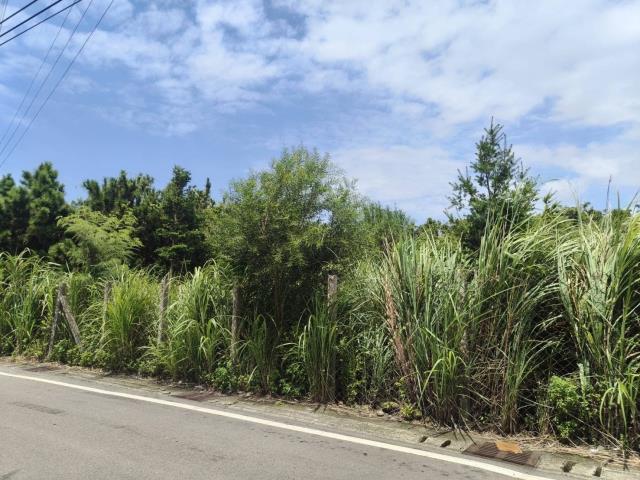 苗栗竹南農地-3